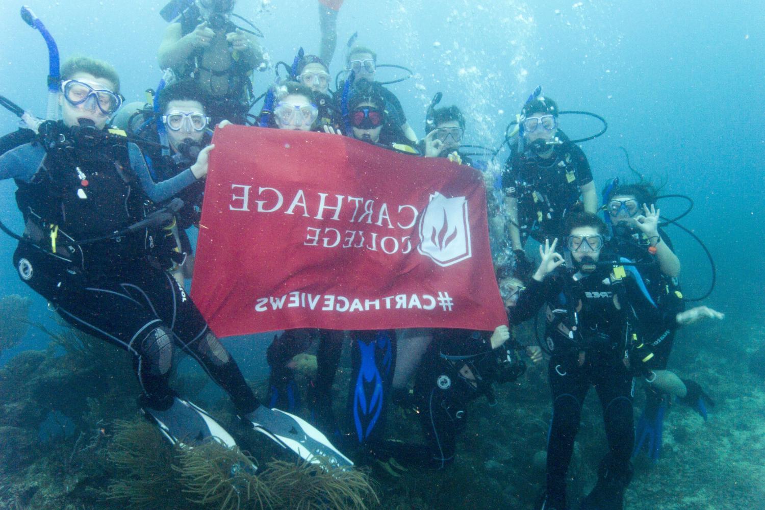 学生们手持<a href='http://mail.nbbinggan.com'>bv伟德ios下载</a>旗帜，在j学期洪都拉斯游学之旅中潜水.